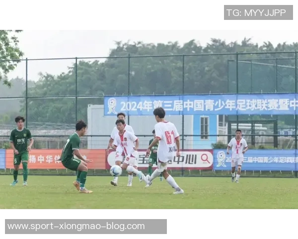 中国足球新力量462杯参赛队伍详解及恒大足校职业俱乐部梯队介绍